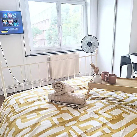 - Vauban - Proche Metro - Universite Daire